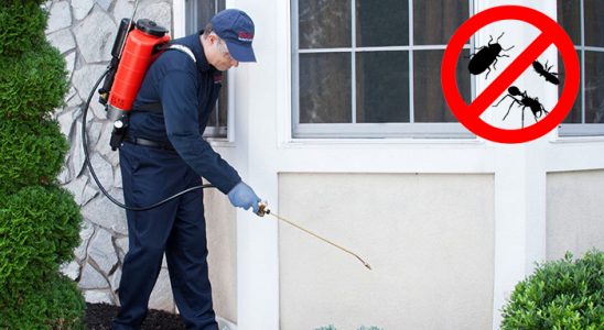 Yenipazar Böcek ve Haşere İlaçlama böcek ilaçlama ve haşere kontrolü — ilaclama-tr.com